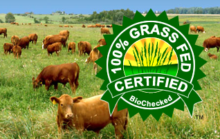 Get your Cattle -100% Grass Fed Certified™